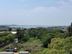 IMG_6499.jpg