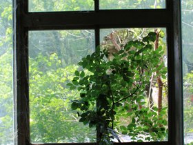 IMG_7850.JPG
