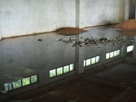 IMG_7883.JPG