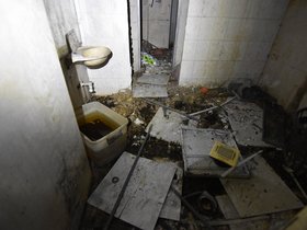 DSC_3871.JPG