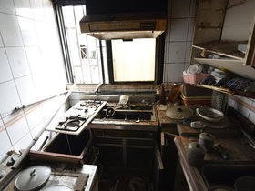 DSC_4663.JPG