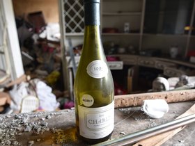 DSC_4677.JPG