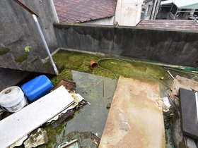 DSC_4687.JPG