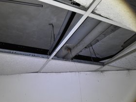 DSC_4705.JPG