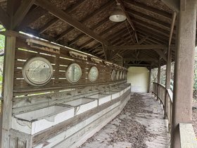 IMG_7854.JPG
