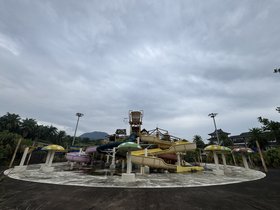 IMG_7869.JPG