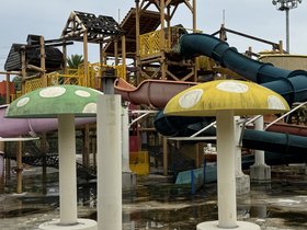IMG_7875.JPG