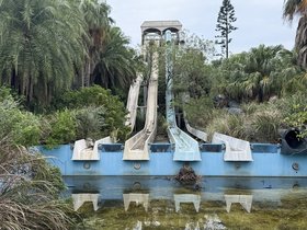 IMG_7882.JPG