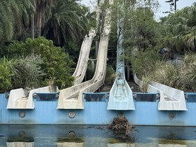 IMG_7883.JPG