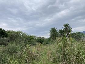 IMG_8370.jpg