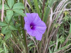 IMG_8371.jpg