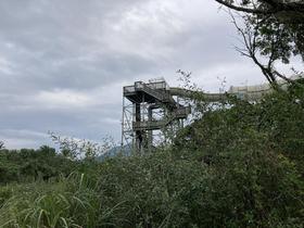 IMG_8374.jpg
