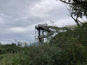 IMG_8375.jpg