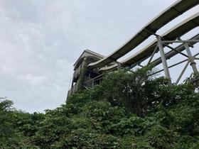 IMG_8403.jpg