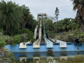 IMG_8410.jpg