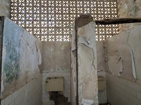 IMG_6944.jpg