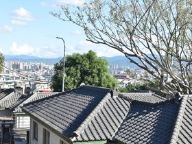 DSC_2349.JPG