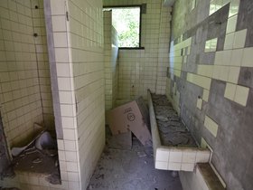 DSC_3420.JPG