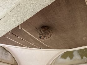 IMG_0874.JPG