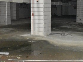 DSC_2279.JPG