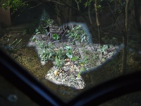 DSC_2295.JPG
