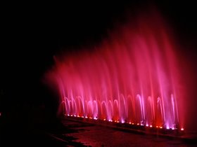 IMG_3377.JPG