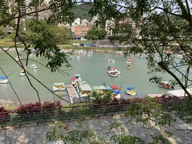 IMG_3480.JPG