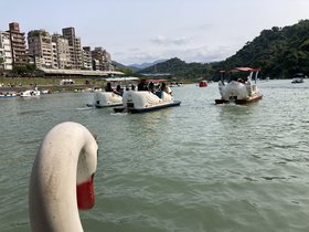 IMG_3481.JPG