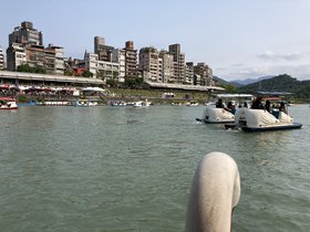 IMG_3482.JPG
