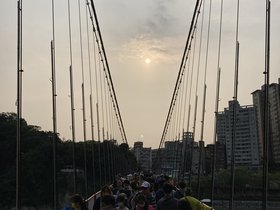 IMG_3734.JPG