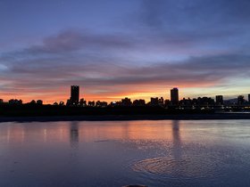 IMG_7350.JPG