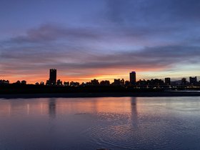 IMG_7351.JPG