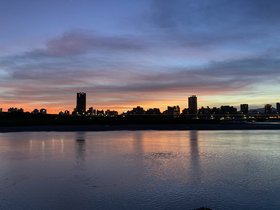 IMG_7353.JPG