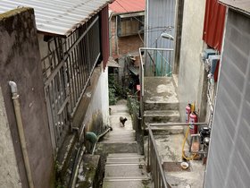 IMG_2338.JPG
