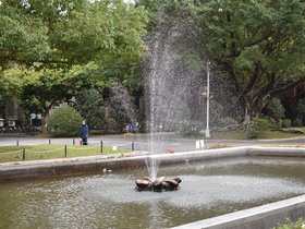 DSC_0505.JPG
