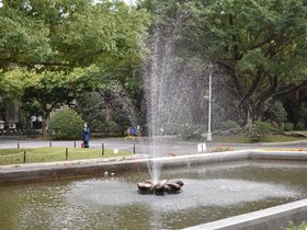 DSC_0506.JPG