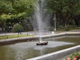 DSC_0507.JPG