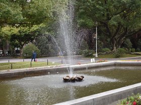 DSC_0508.JPG