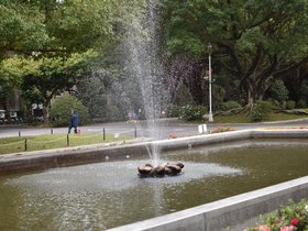 DSC_0509.JPG