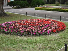 DSC_0544.JPG