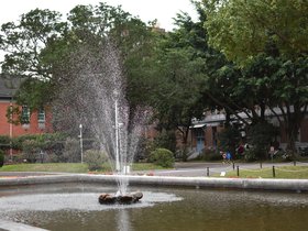 DSC_0550.JPG