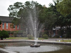 DSC_0551.JPG