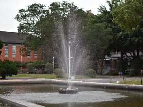 DSC_0552.JPG