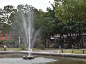 DSC_0553.JPG