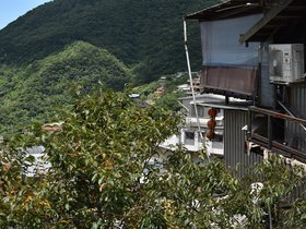 DSC_0313.JPG