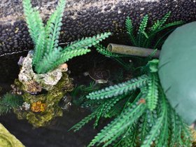 DSC_0316.JPG