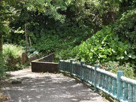 DSC_0321.JPG