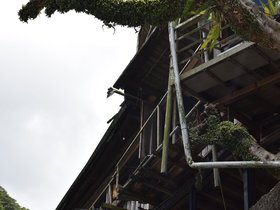 DSC_0322.JPG