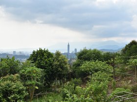 DSC_2494.JPG