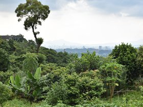 DSC_2495.JPG